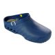 Scholl Clog Evo klumpa